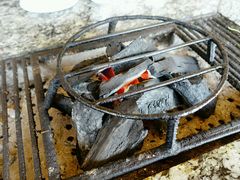 -蘑统田下·野生菌火锅