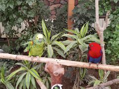 -南宫五洲植物乐园