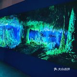 国家地理影像大展——超越130年的经典
