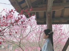 -秀丽东方