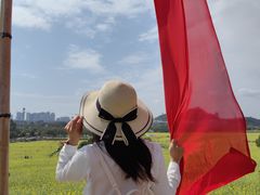 -光明小镇欢乐田园