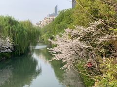 -浙江大学医学院附属第二医院(解放路院区)