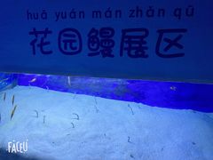 -江和美海洋公园
