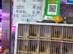 -花鸟鱼虫鲜花绿植市场(玉泉路店)