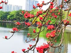 -东山湖公园