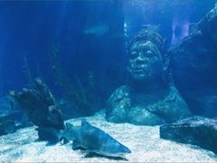 -暹罗海洋世界