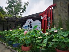 -无锡蠡湖国家湿地公园-蠡园