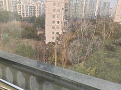 -勇气斑马·巴西柔术&跆拳道(浦东三林店)