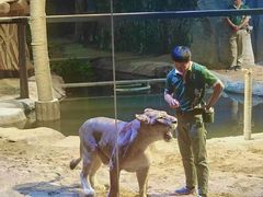 -清迈夜间动物园