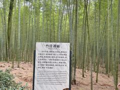 -大奇山国家森林公园