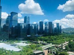 -深圳星河丽思卡尔顿酒店