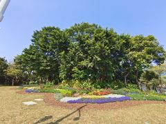-深圳湾公园(南山区)