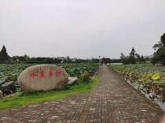 -东山香樟园