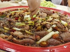 -东吴霸王兔(松青路店)