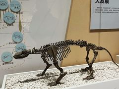 -国家自然博物馆