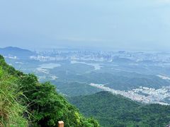-阳台山森林公园