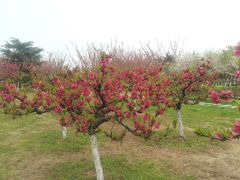 -白塘生态植物园