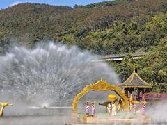 -西双版纳原始森林公园