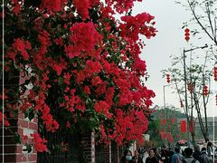 -广东外语外贸大学(白云山校区)