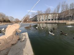 -稻香湖景欢乐岛温泉城堡