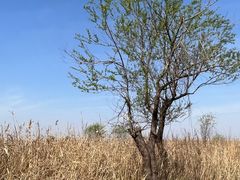 -宁波杭州湾国家湿地公园