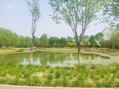 -东郊湿地公园