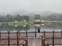 -海南热带雨林国家公园吊罗山景区