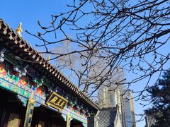 -护国法轮寺