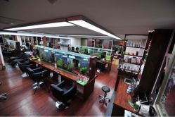 iphone_upload_pic-小左美发