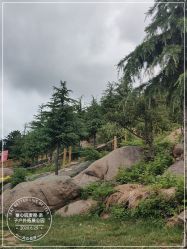 -童心园麦窑·儿童拓展探宝乐园