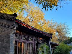 -元大都城垣遗址公园