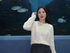 -合肥海洋世界