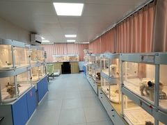 -翊宠yipet猫狗购宠庄园犬舍•猫舍