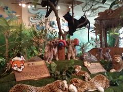 -济州岛泰迪熊博物馆