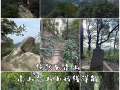 -南山植物园