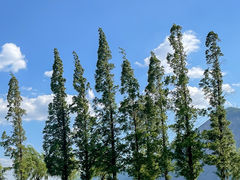 -滇池海埂公园