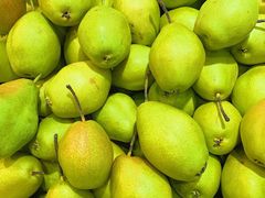 -柯剑飞超级水果批发中心(东港店)