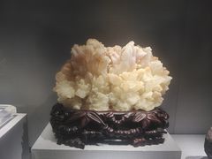 -湖南省地质博物馆