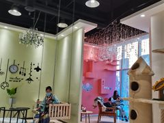 -藏猫猫咖啡主题馆(中央大道店)