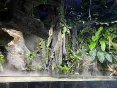 -杭州长乔极地海洋公园