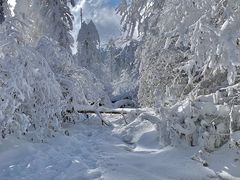 -瓦屋山景区