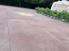 -莲花池公园