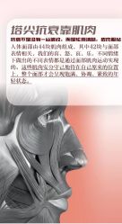 -薇薇安花系SPA