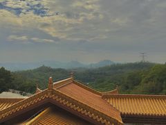 -深圳仙湖植物园
