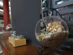 环境-TPLUS茶家(上海商城南京西路店)