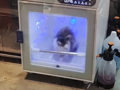 -PETKIT小佩宠物·低压洗护(国顺东路店)