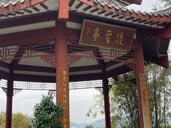 -红花湖景区