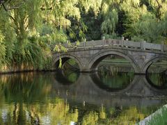 -上海共青森林公园
