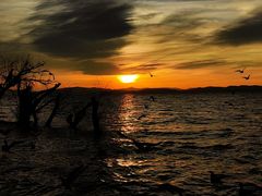 -捞渔河湿地公园