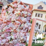 参加好兄弟的婚礼，结果